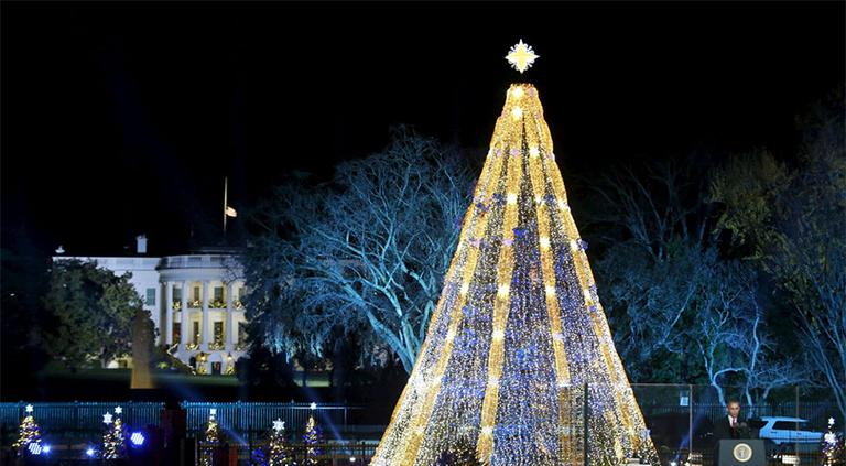 奧巴馬和假日樹.jpg 奧巴馬和假日樹