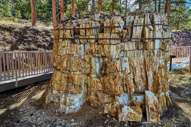 弗洛里?；矅覛v史文物