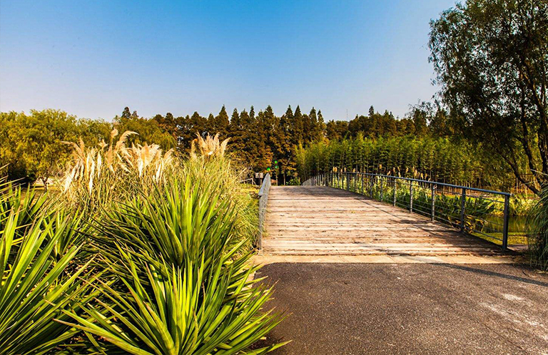 植物修剪.jpg 植物修剪