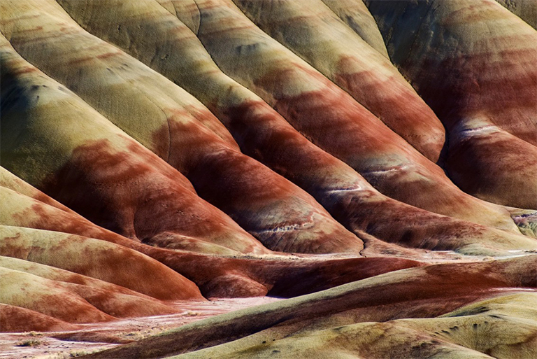 約翰·戴化石床國(guó)家紀(jì)念碑.jpg 約翰·戴化石床國(guó)家紀(jì)念碑