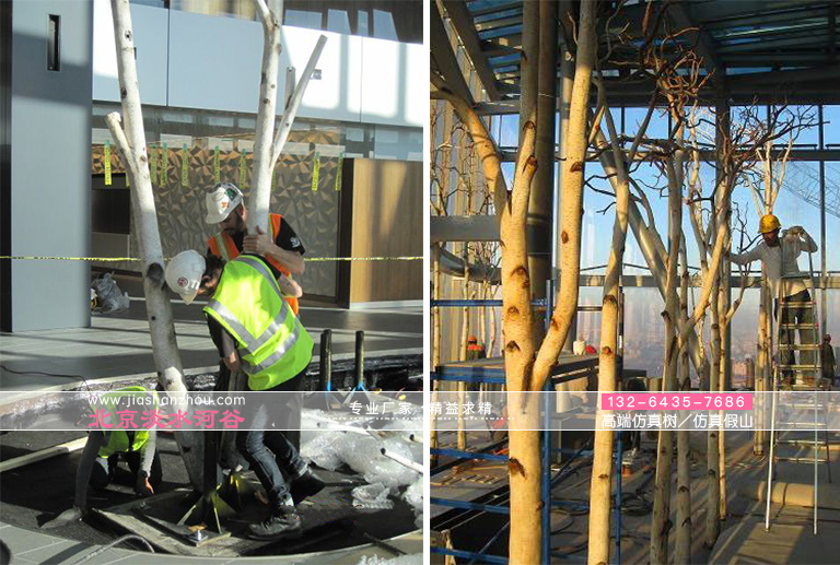 仿真樹(shù).jpg 仿真樹(shù)