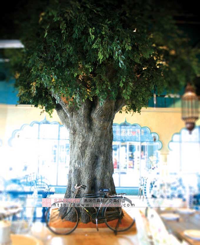 室內裝修大樹的圖片.jpg 室內裝修大樹的圖片