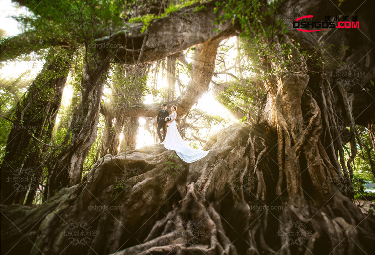 室內大型仿真景觀樹