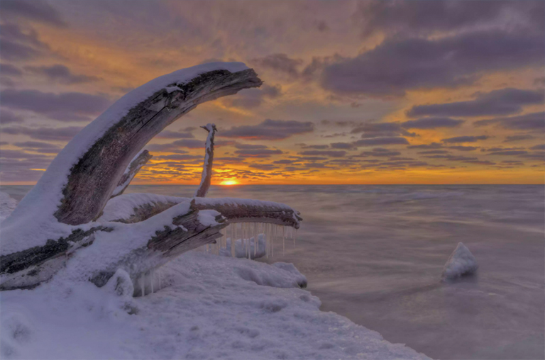 冰冷的湖岸框架上的死樹(shù)冉冉升起的太陽(yáng)
