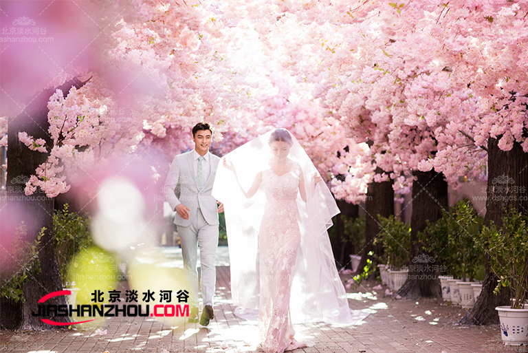 仿真樹.jpg 仿真樹