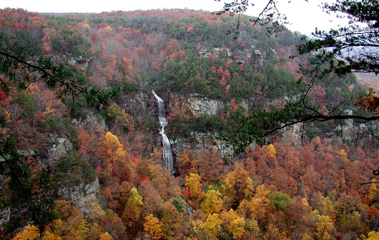 克蘭蘭峽谷州立公園，上升的小鹿