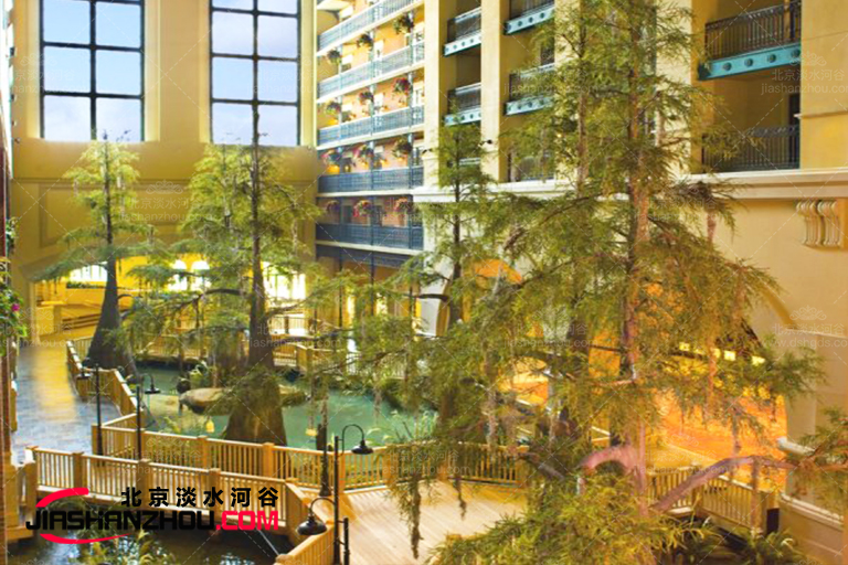 室內景觀樹.jpg 室內景觀樹