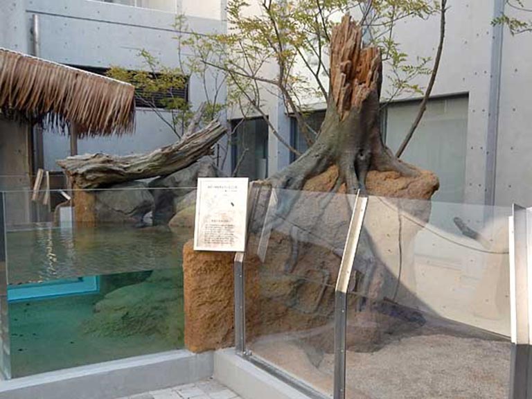 水泥做假樹根.jpeg 水泥做假樹根