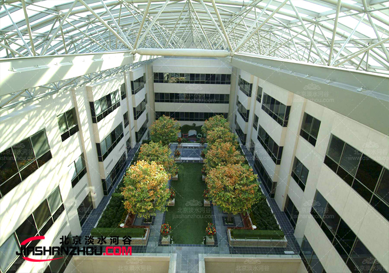 仿真樹.jpg 仿真樹