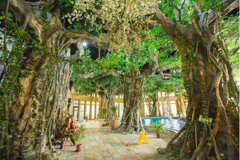 仿真樹工程.jpeg 仿真樹工程