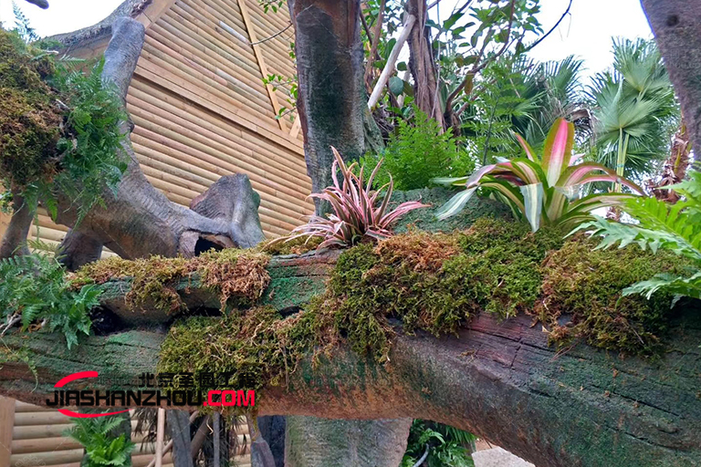 仿真樹.jpg 仿真樹