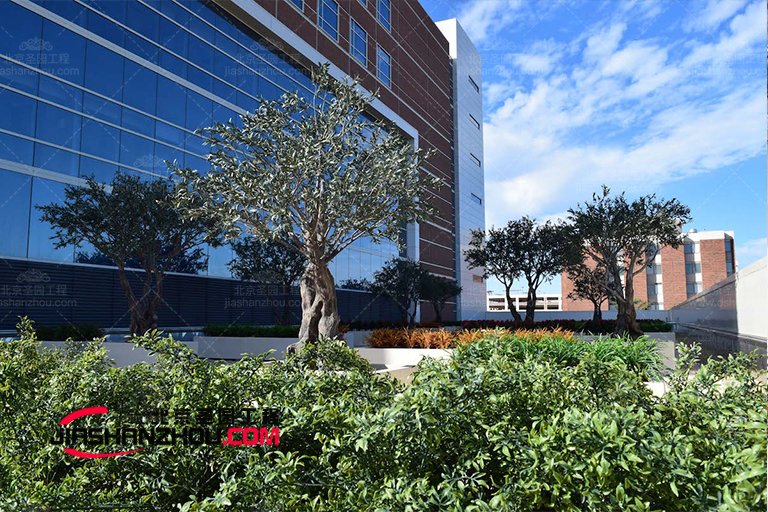 仿真樹(shù).jpg 仿真樹(shù)