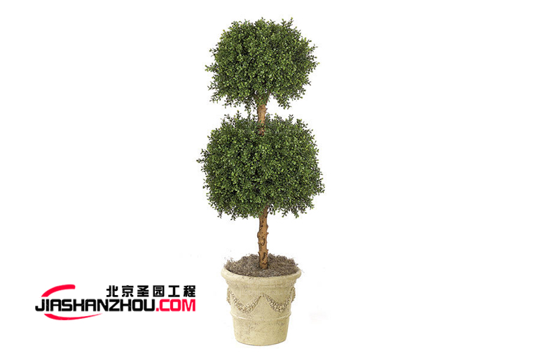 仿真樹.jpg 仿真樹