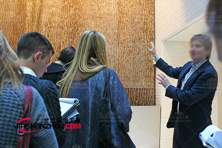 樹屋民宿.jpg 樹屋民宿