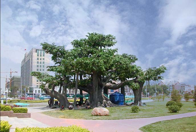 仿真樹.jpg 仿真樹