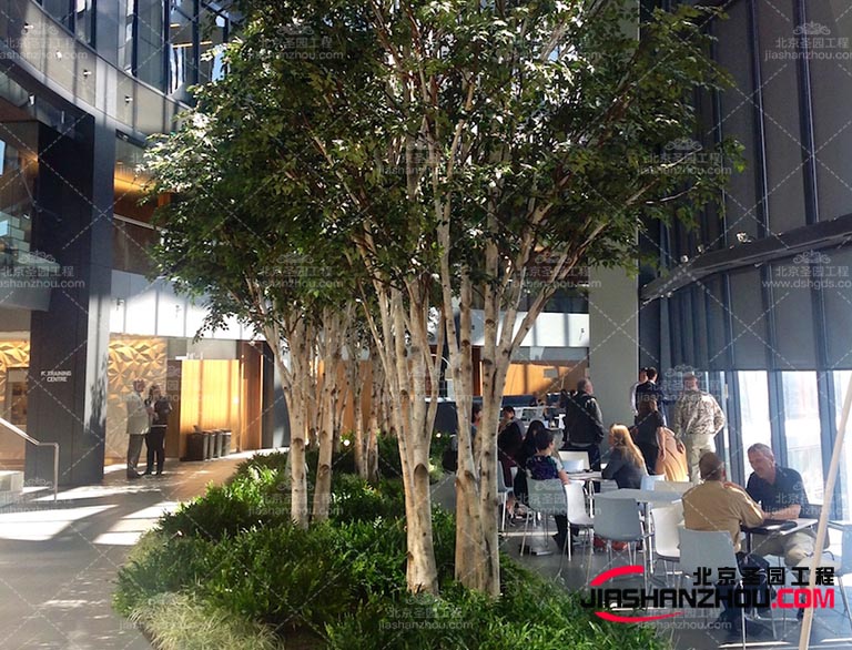 仿真樹.jpg 仿真樹