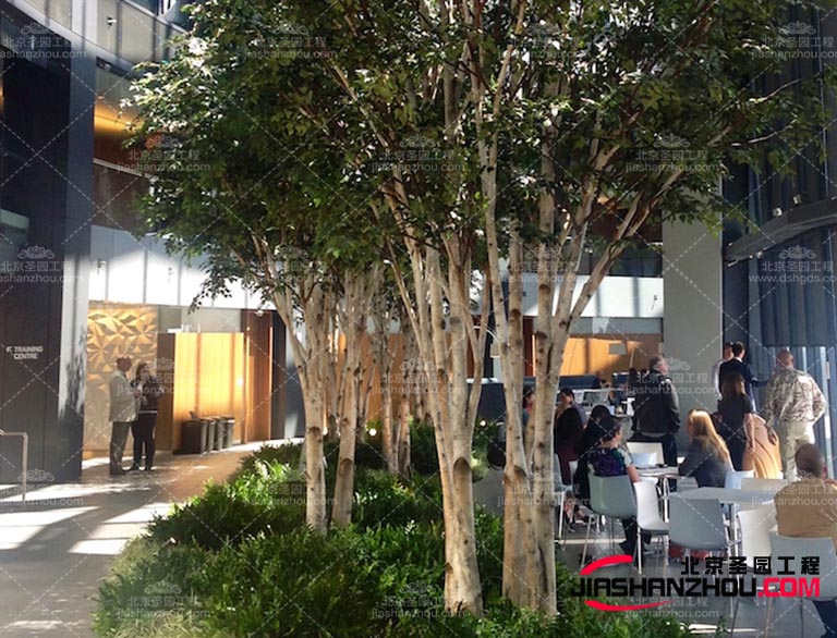 仿真樹.jpg 仿真樹