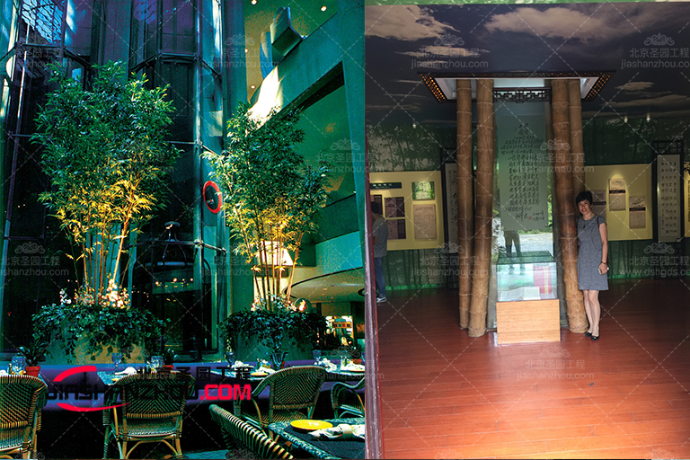 仿真樹.jpg 仿真樹.jpg