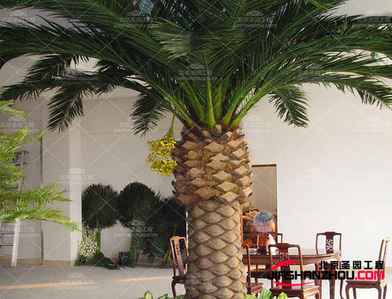 仿真樹.jpg 仿真樹.jpg