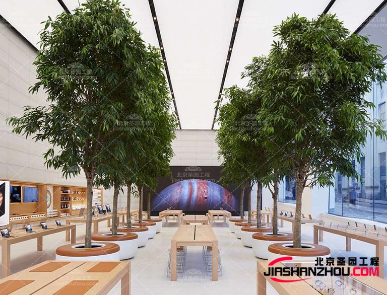 仿真樹.jpg 仿真樹.jpg